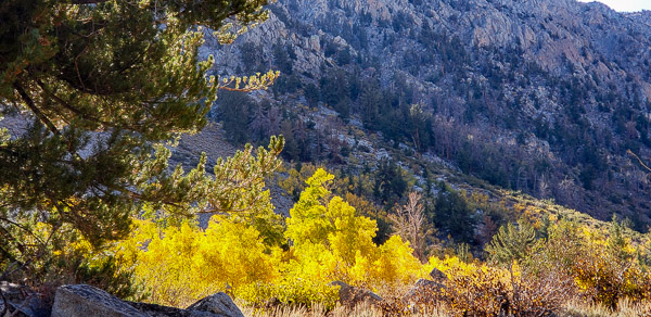 North Lake and autumn color near Bishop